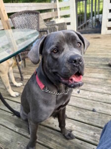 Coco
