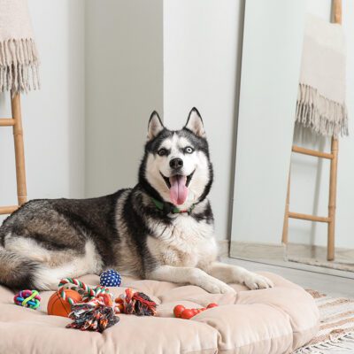 Husky